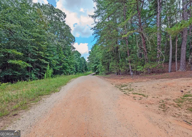 a view of a dirt road with trees in the background