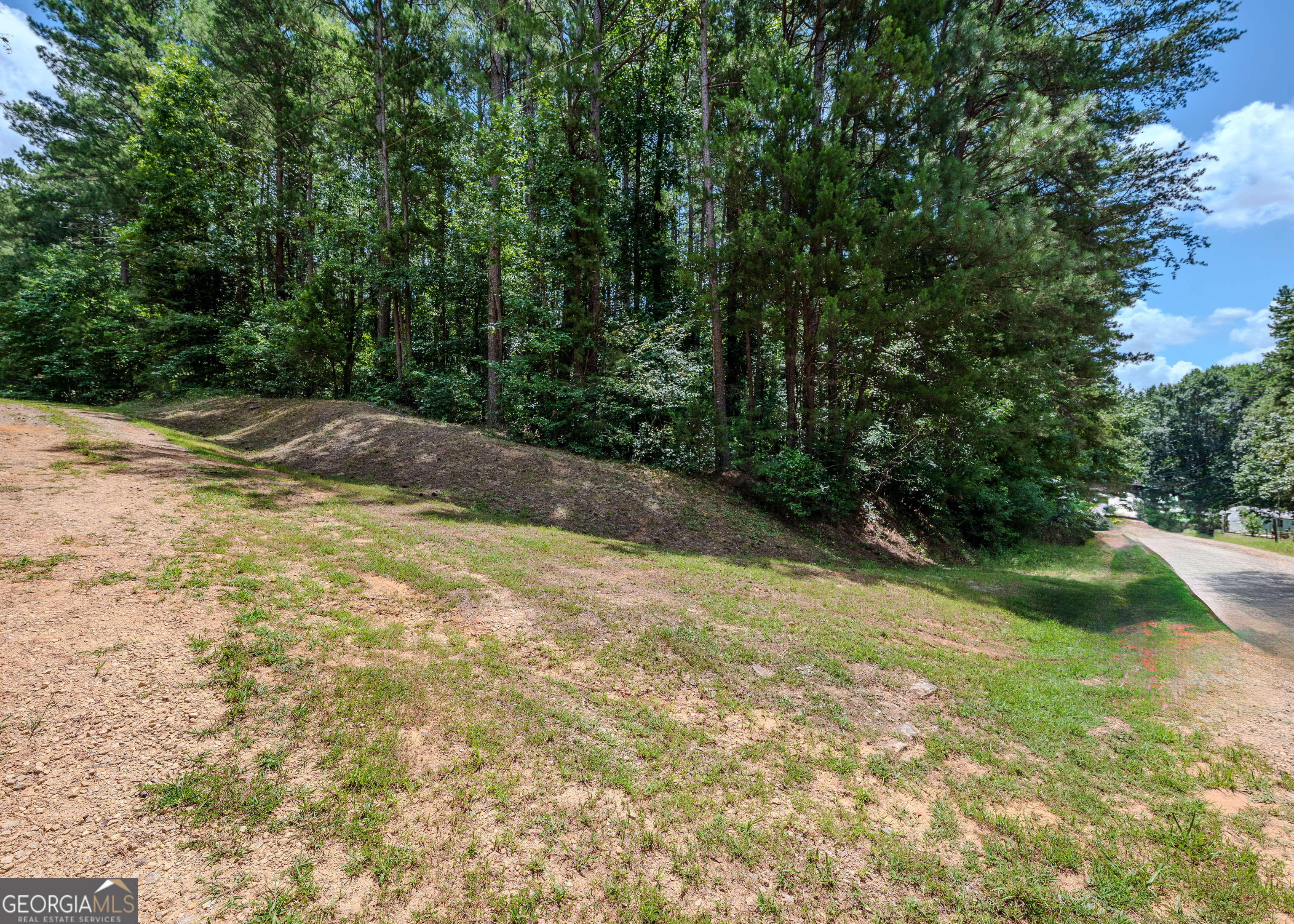 Lot 10 Benttree Circle Toccoa, GA 30577 - Photo 6 of 14 a view of a yard with plants