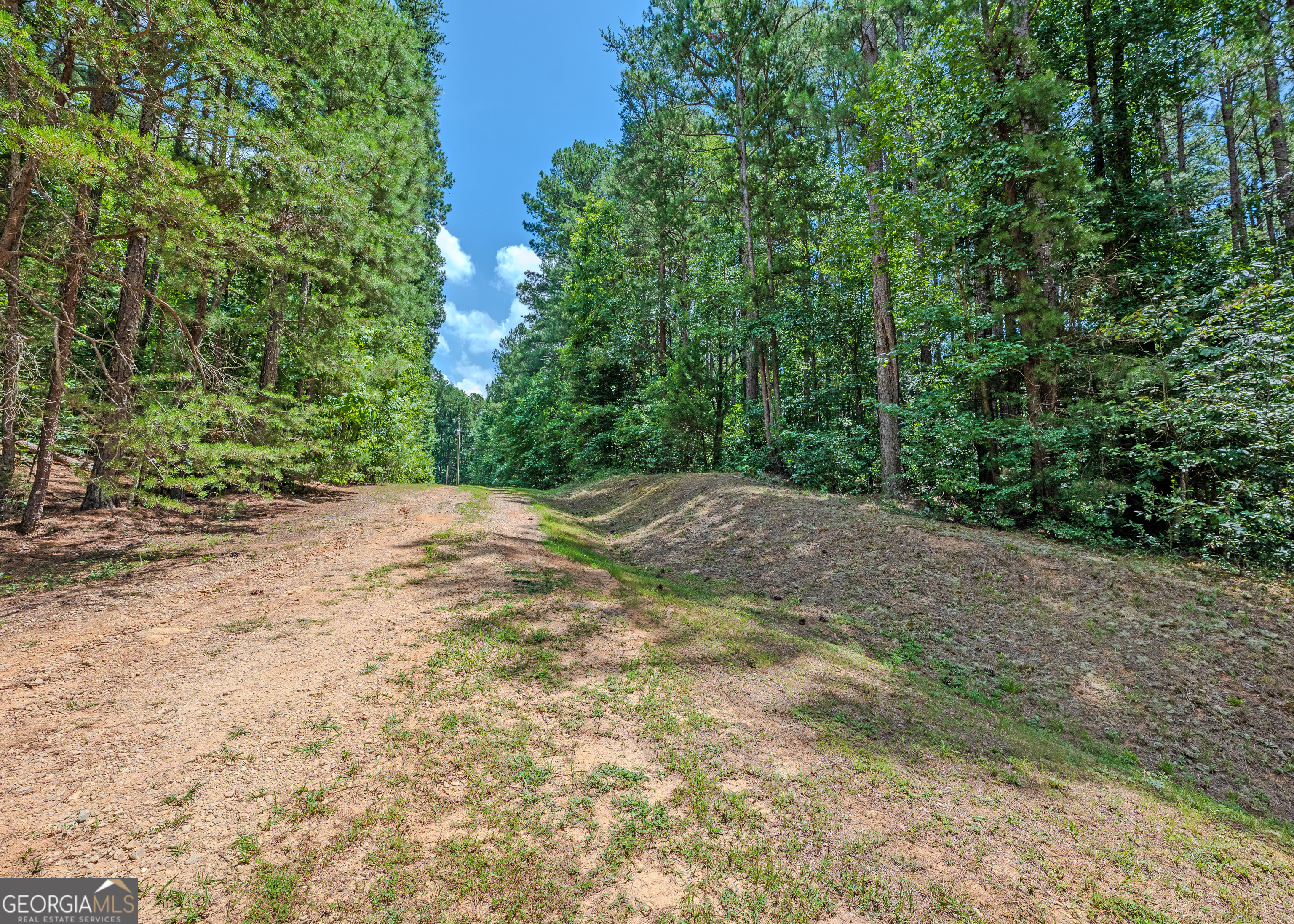 Lot 10 Benttree Circle Toccoa, GA 30577 - Photo 7 of 14 a view of a yard with a tree