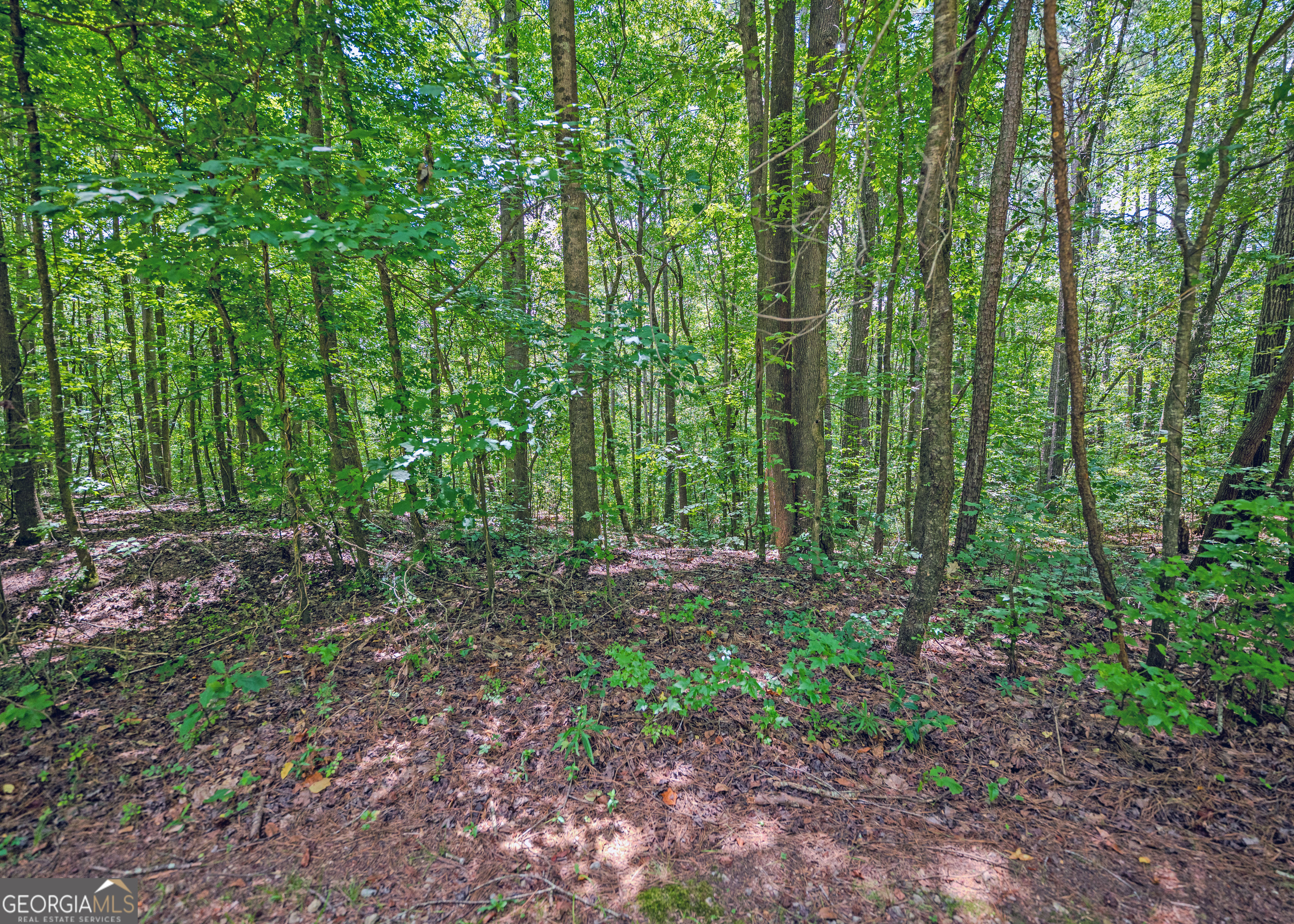 Lot 10 Benttree Circle Toccoa, GA 30577 - Photo 8 of 14 a view of outdoor space and green space