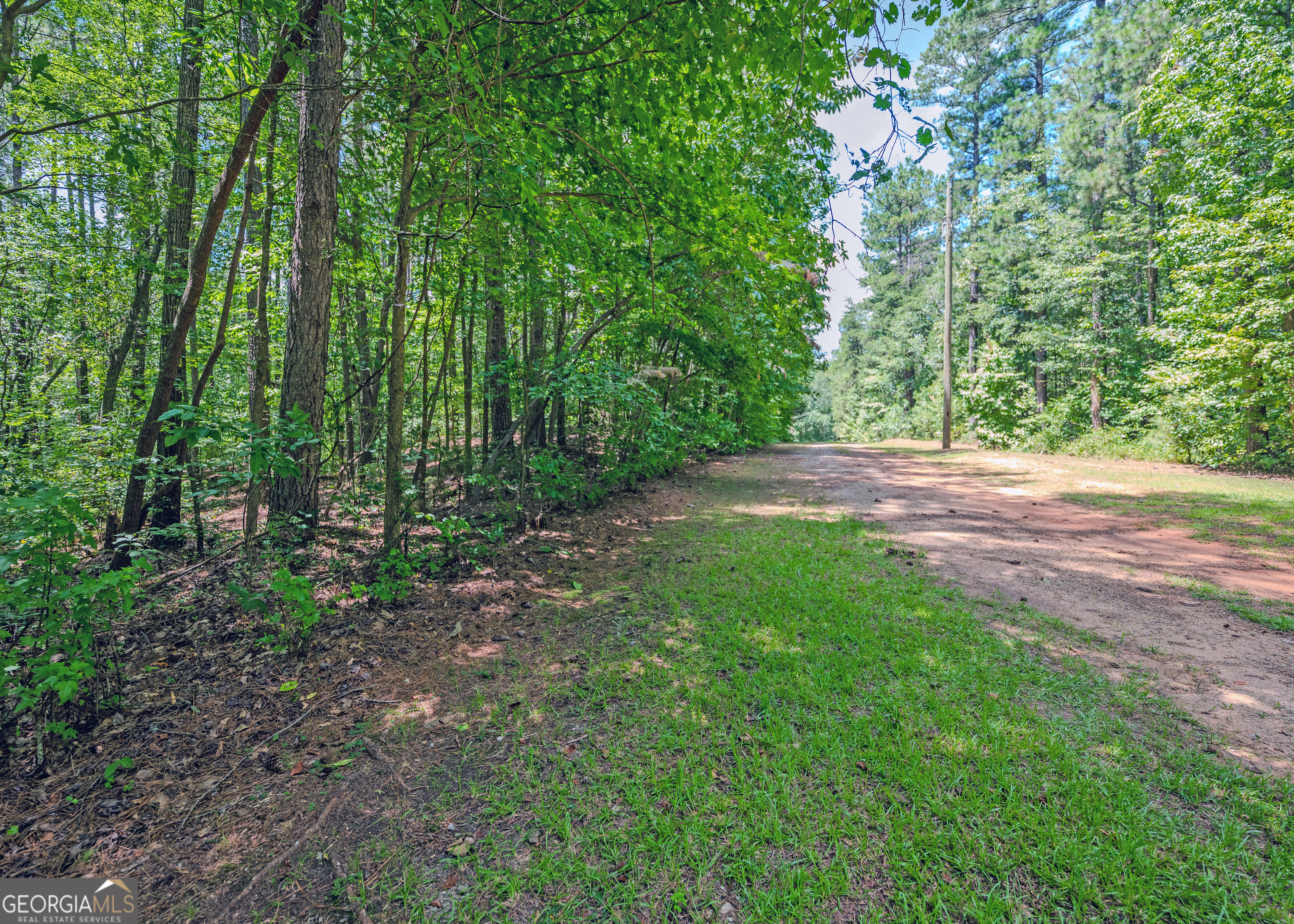 Lot 10 Benttree Circle Toccoa, GA 30577 - Photo 9 of 14 a view of a yard with plants and large trees