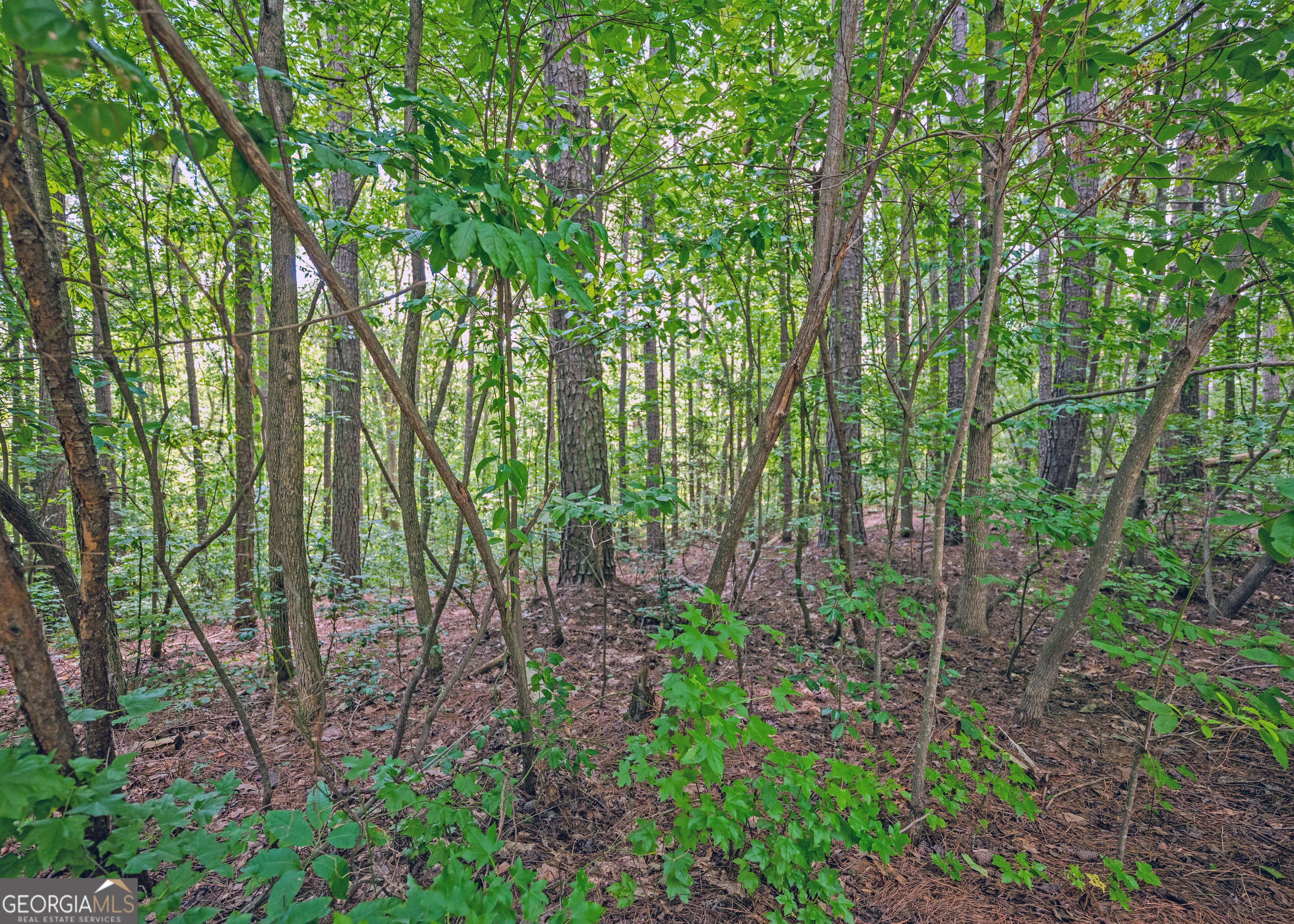 Lot 10 Benttree Circle Toccoa, GA 30577 - Photo 10 of 14 a view of outdoor space and green space