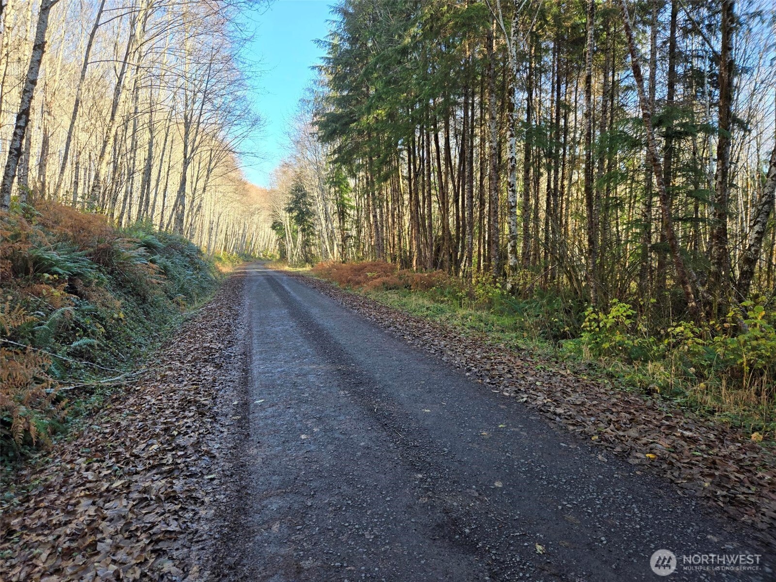 -nka Fall River Road Cosmopolis, WA 98537 - Photo 10 of 13 Gallery Image 10