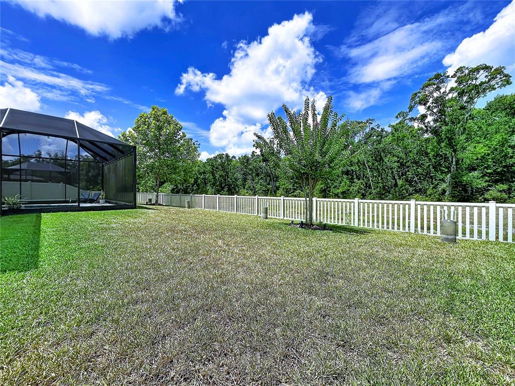 18078 Romanesque Court Spring Hill, FL 34610 - Photo 68 of 81 a view of a garden