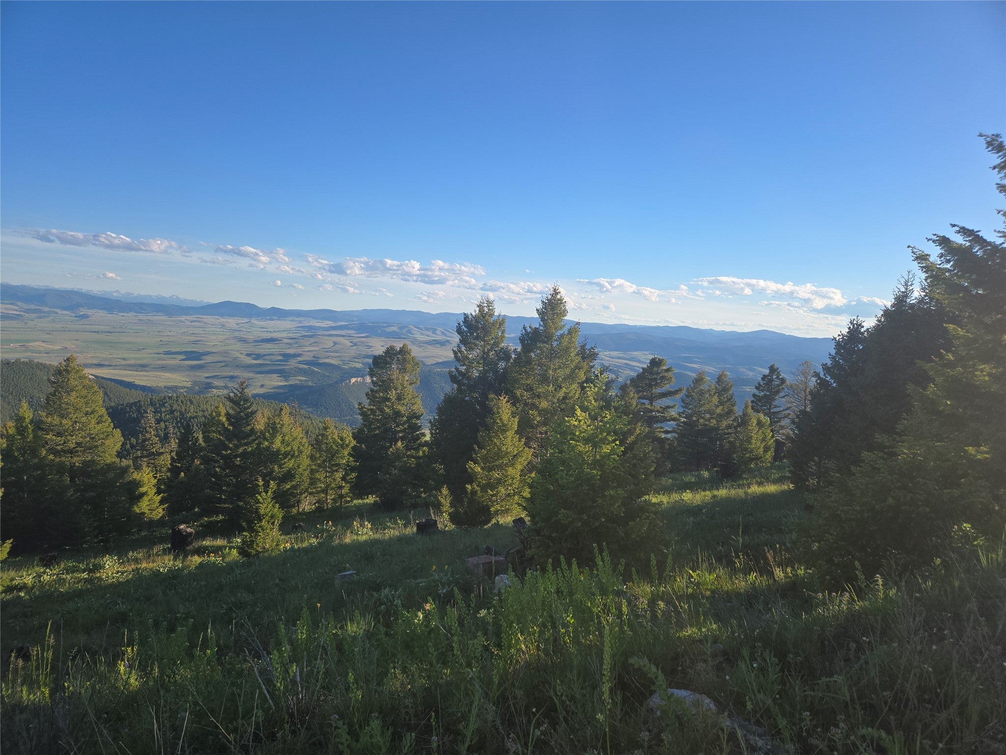 1 Big Sky Ridge Road Drummond, MT 59832 - Photo 7 of 13 Gallery Image 7
