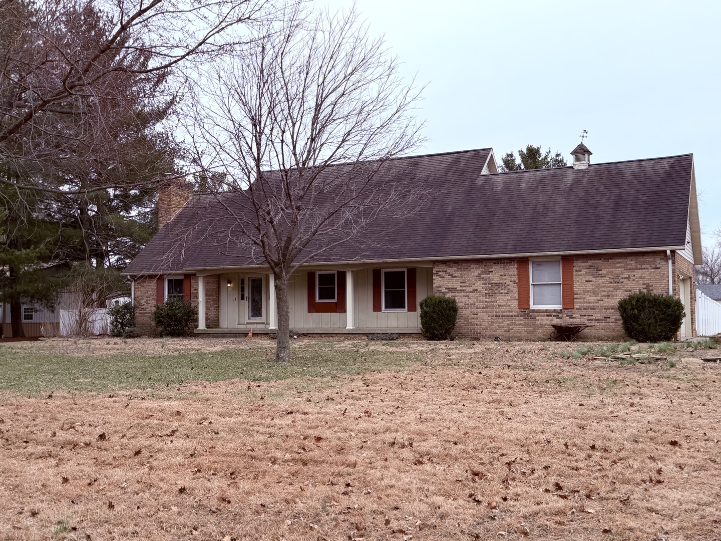 a house that has a tree in front of it