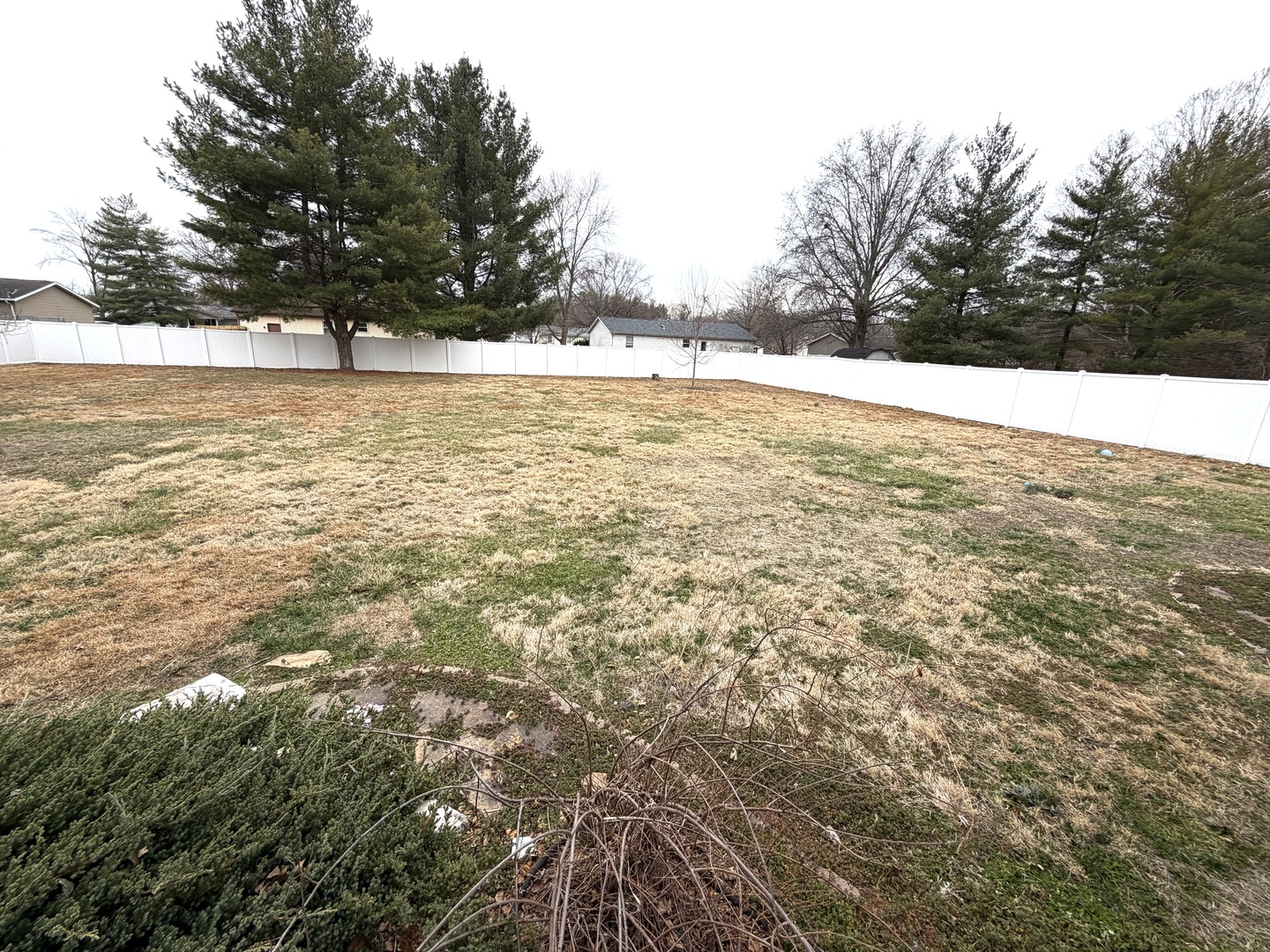 1867 Gragg Street Centralia, IL 62801 - Photo 28 of 30 a view of an ocean and trees