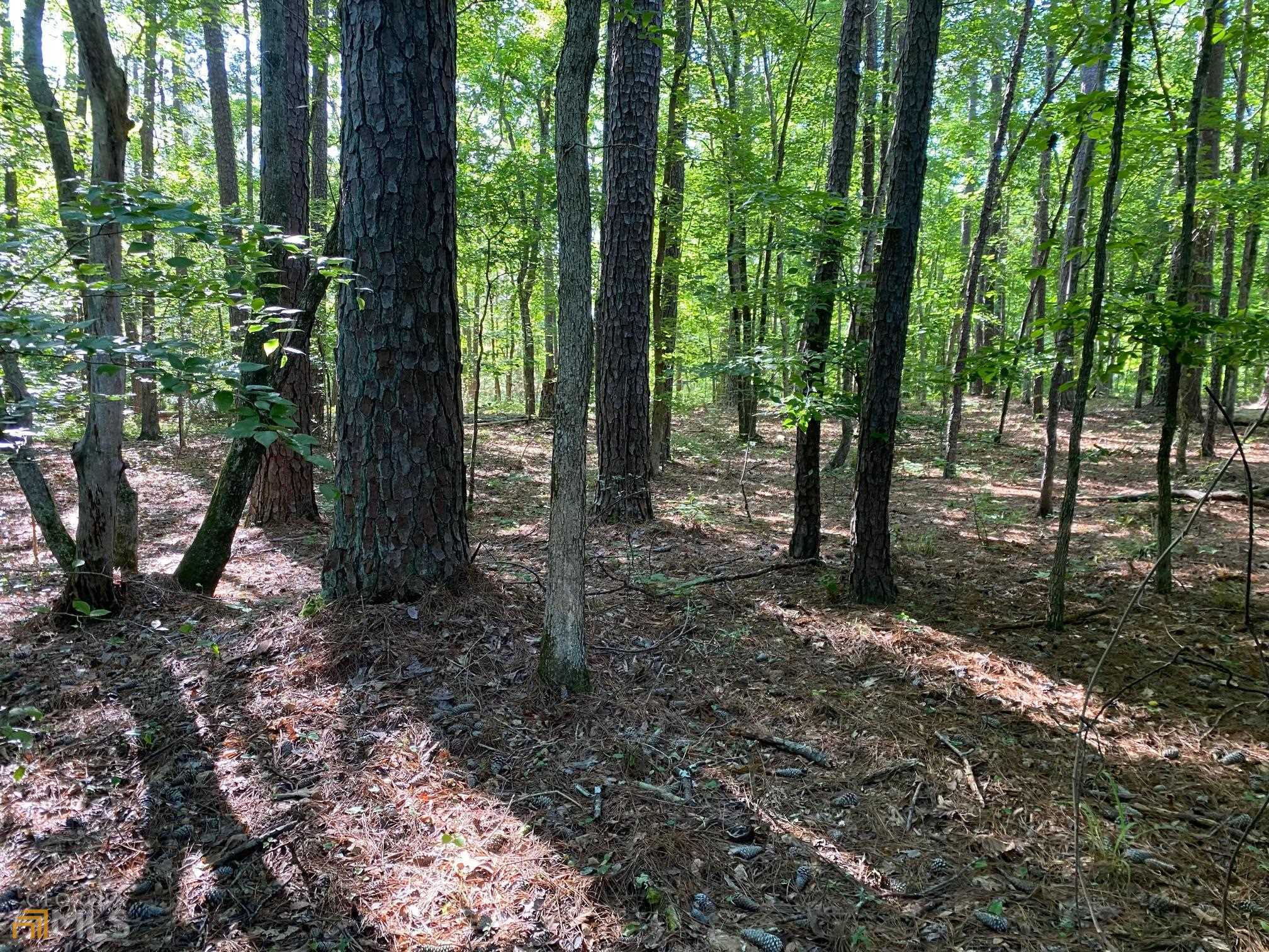 1.26-ac Remsen Road Lincolnton, GA 30817 - Photo 1 of 1 Gallery Image 1