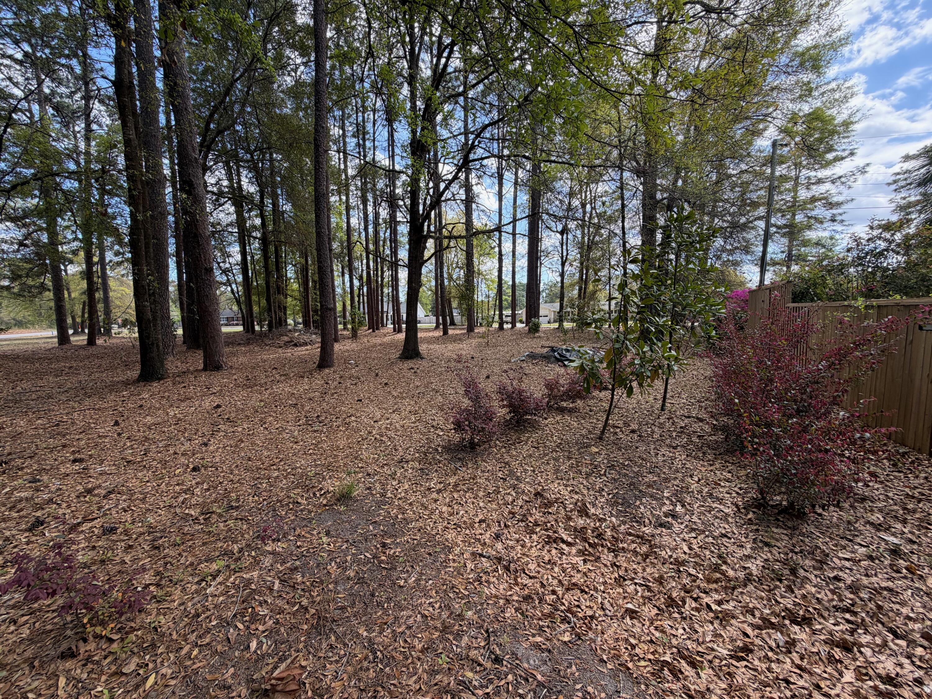 0 Otis Road Walterboro, SC 29488 - Photo 4 of 8