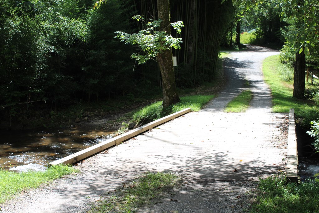Lot 5 Eagle Fork Trail Hayesville, NC 28904 - Photo 2 of 9
