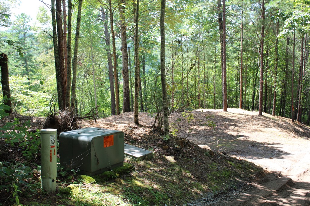 Lot 5 Eagle Fork Trail Hayesville, NC 28904 - Photo 5 of 9 a view of backyard with trees