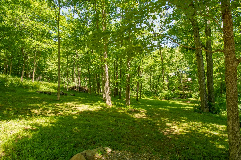 1539 Raven Road Clarksville, TN 37042 - Photo 44 of 50 Gallery Image 44