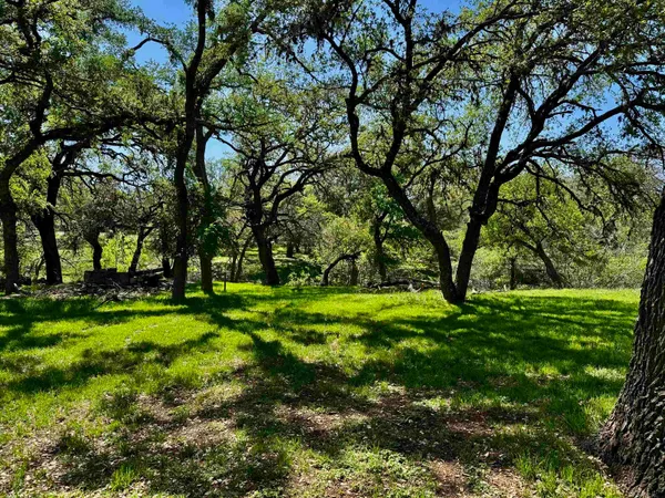 a view of a lush green space