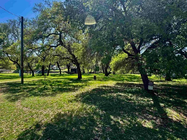 a big yard with lots of green space and trees