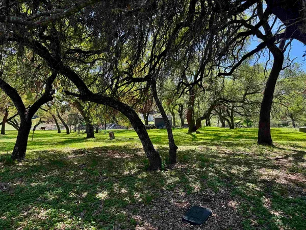 a huge green field with lots of trees