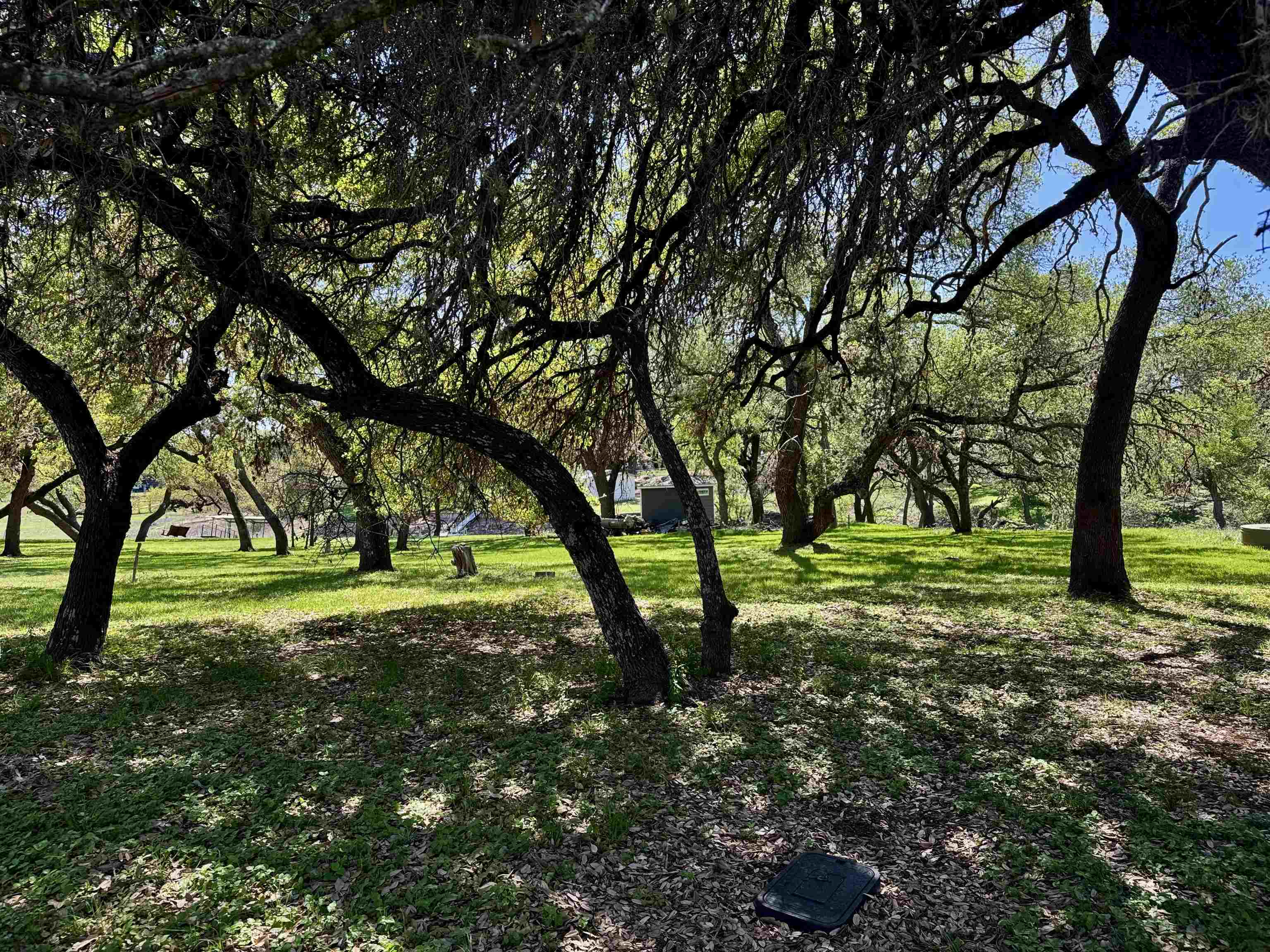 0 Cedar Trail Tow, TX 78672 - Photo 2 of 11 a huge green field with lots of trees
