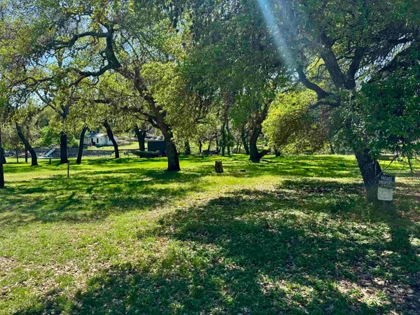 a view of a park with trees and grass