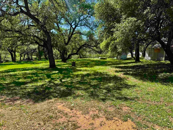 a big yard with trees