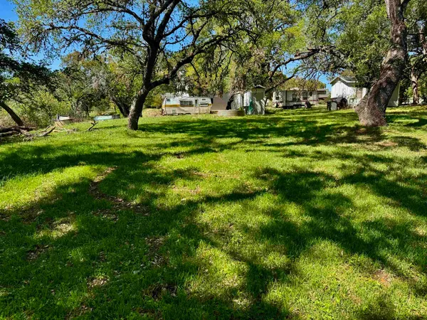 a big yard with trees