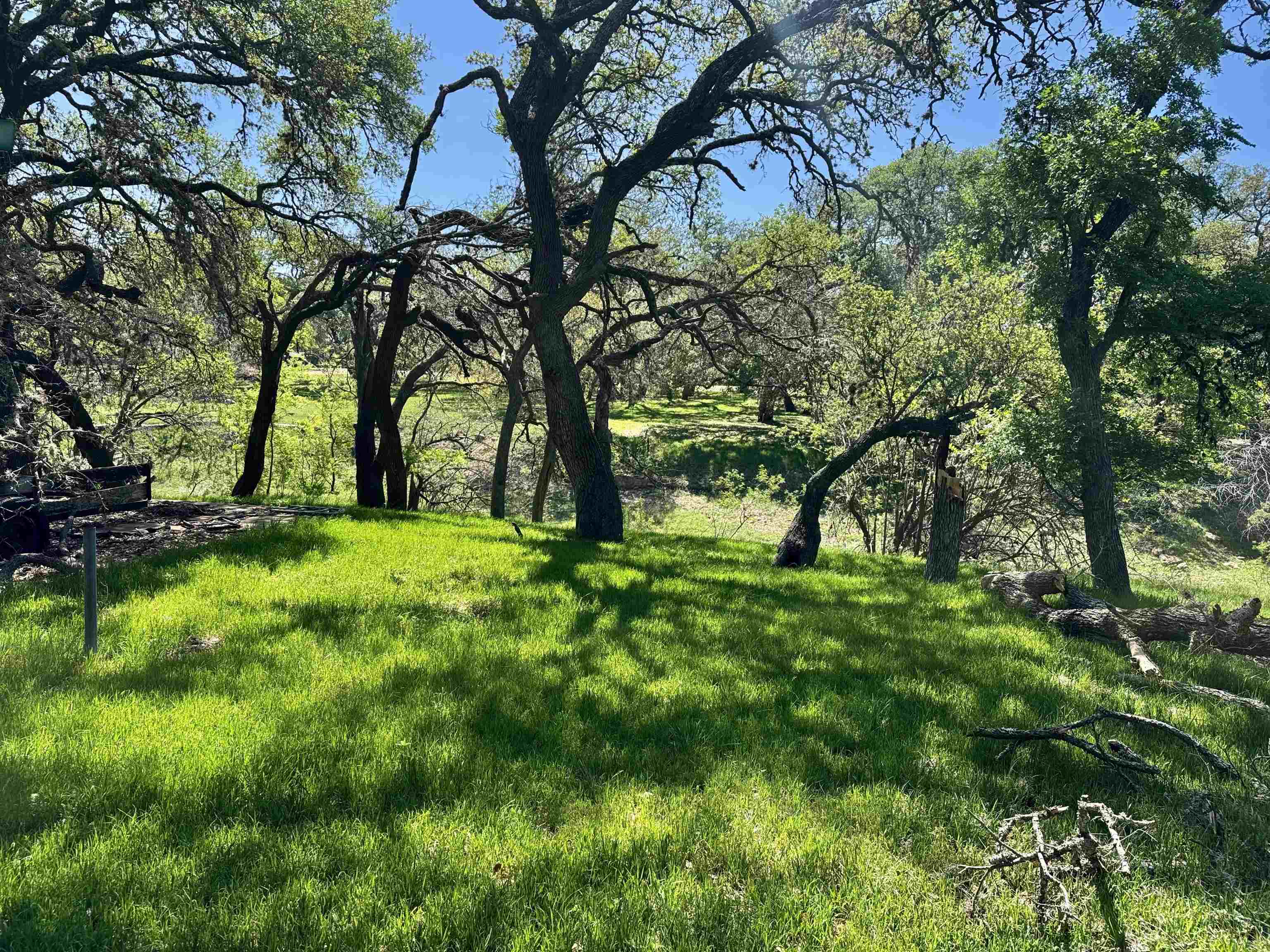 0 Cedar Trail Tow, TX 78672 - Photo 7 of 11 a view of green field with large trees