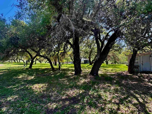 a view of backyard with tree
