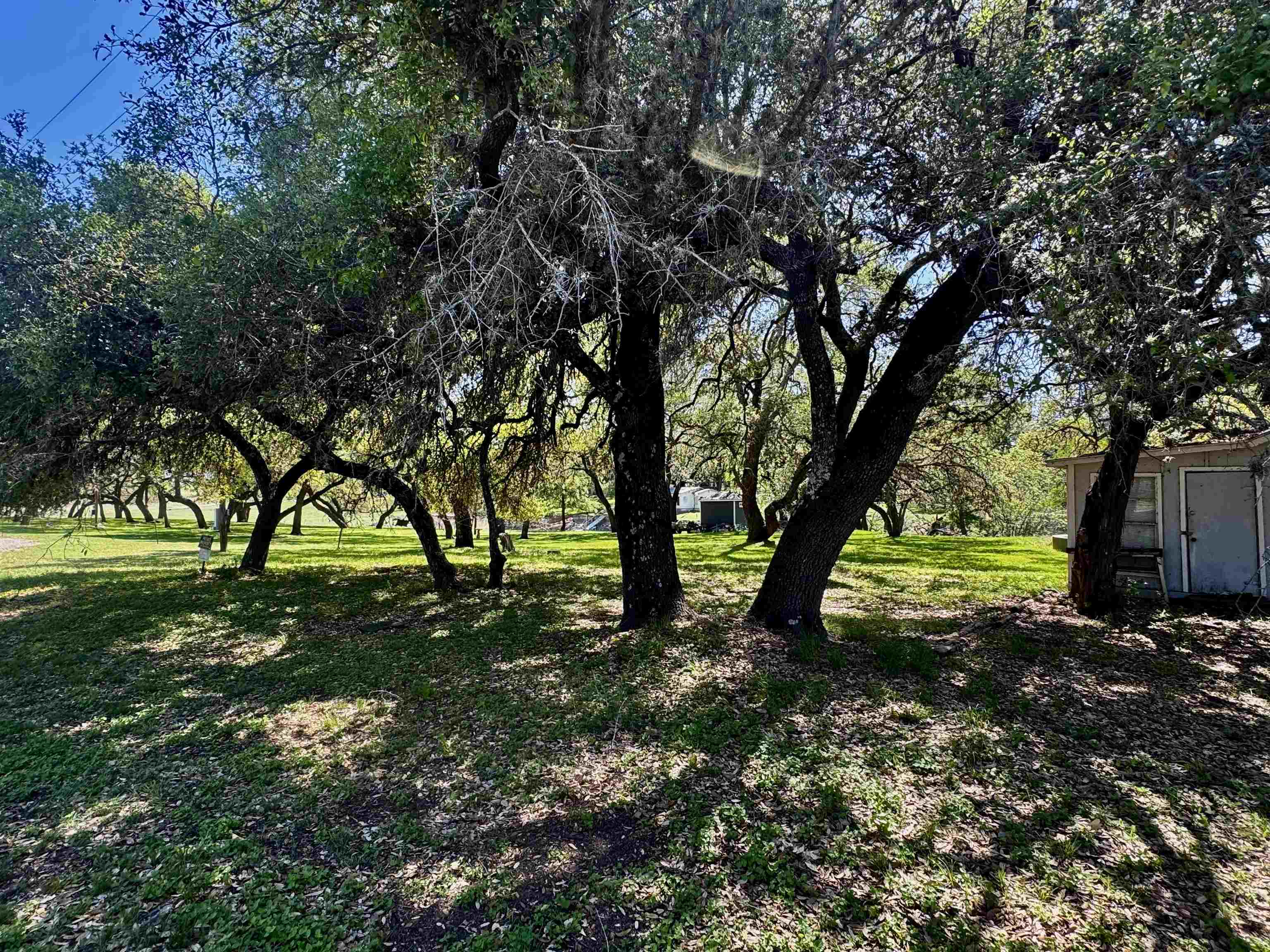 0 Cedar Trail Tow, TX 78672 - Photo 10 of 11 a view of backyard with tree