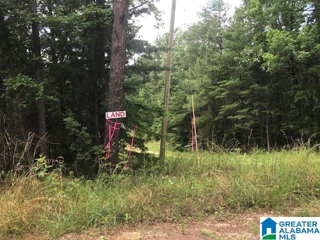 Mountain View Vance, AL 35490 - Photo 13 of 28