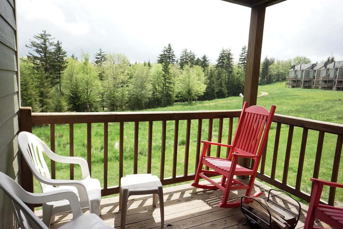 58 Powderidge Road Snowshoe, WV 26209 - Photo 2 of 25 Gallery Image 2