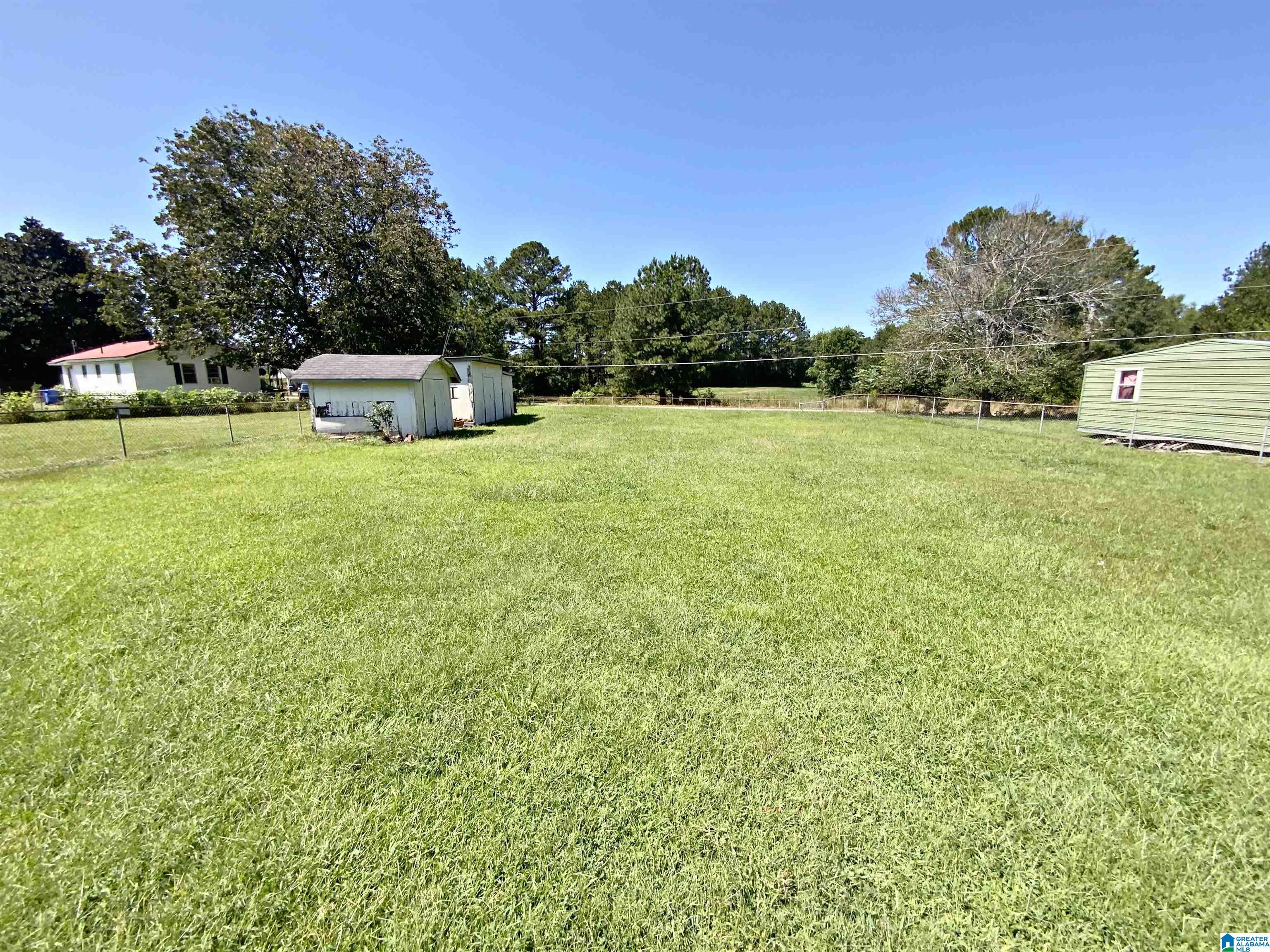 1733 Steinburg Road Piedmont, AL 36272 - Photo 6 of 42