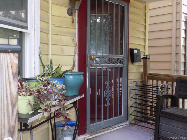 a potted plant sitting in front of a door