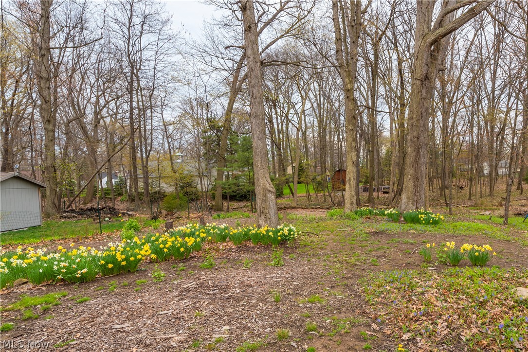 543 Upland Road Bay Village, OH 44140 - Photo 31 of 35
