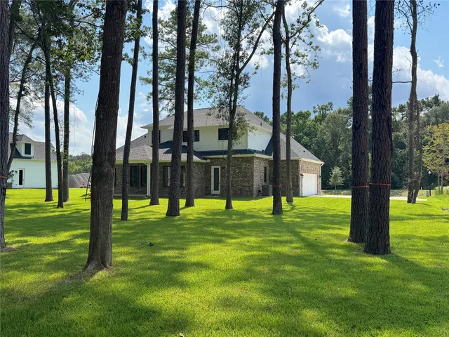 a view of a park with a tree