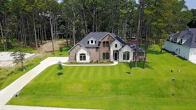a view of a park with large trees