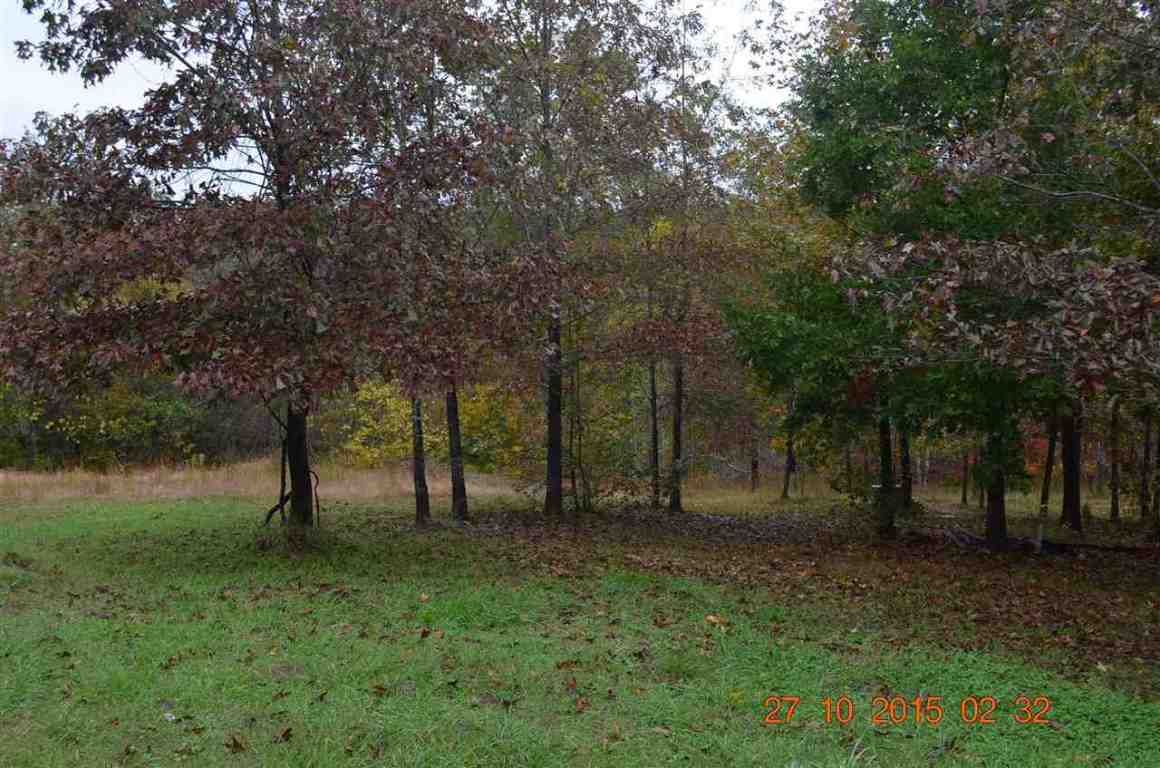 266 Lonesome Pine Road Abbeville, SC 29620 - Photo 12 of 20 Gallery Image 12