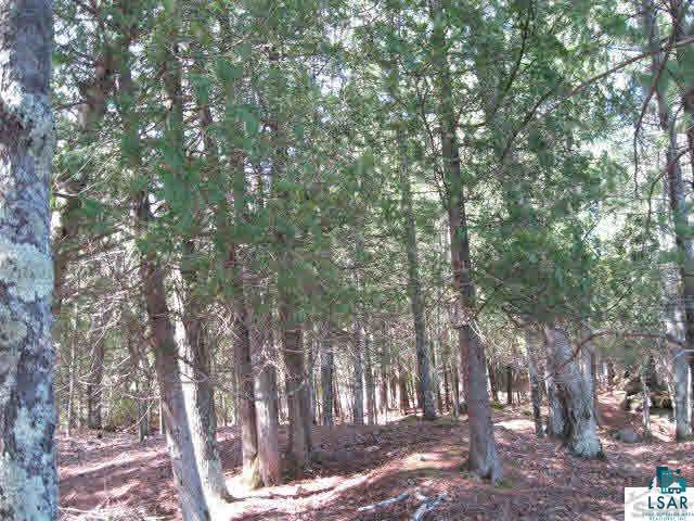 0 Bodin Road Washburn, WI 54891 - Photo 12 of 14 Gallery Image 12