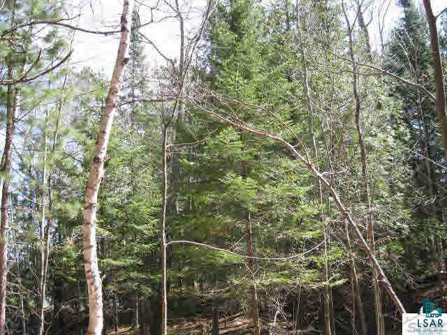 0 Bodin Road Washburn, WI 54891 - Photo 7 of 14 Gallery Image 7