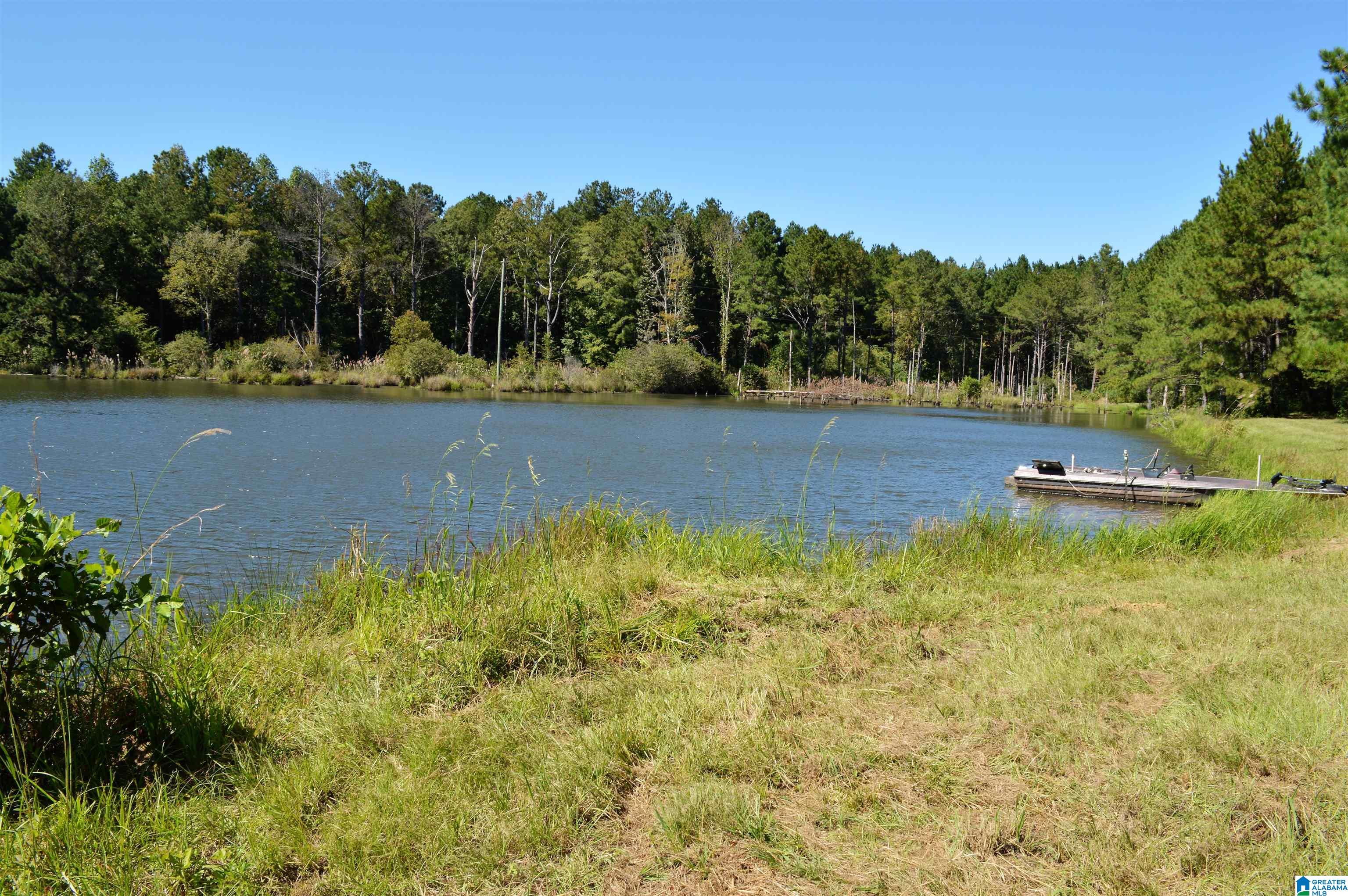 797 Hickory Hill Road West Blocton, AL 35184 - Photo 15 of 18