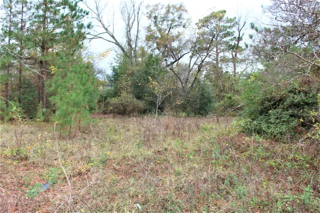 a view of a dry yard with green space