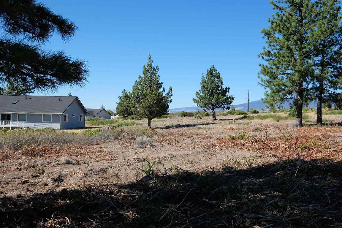 Lot 83-unit 7-2 Black Bear Road Weed, CA 96094 - Photo 10 of 21 Gallery Image 10