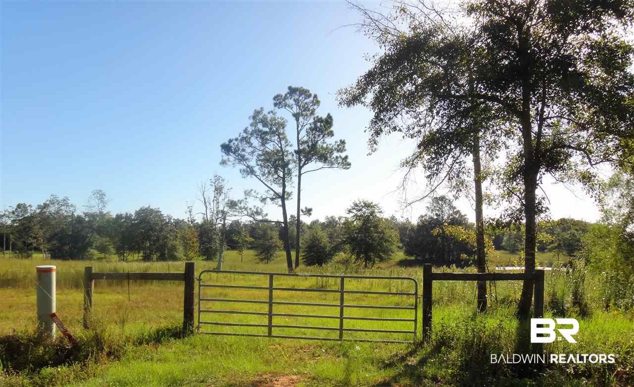 19146 3 Rivers Road Seminole, AL 36574 - Photo 4 of 8