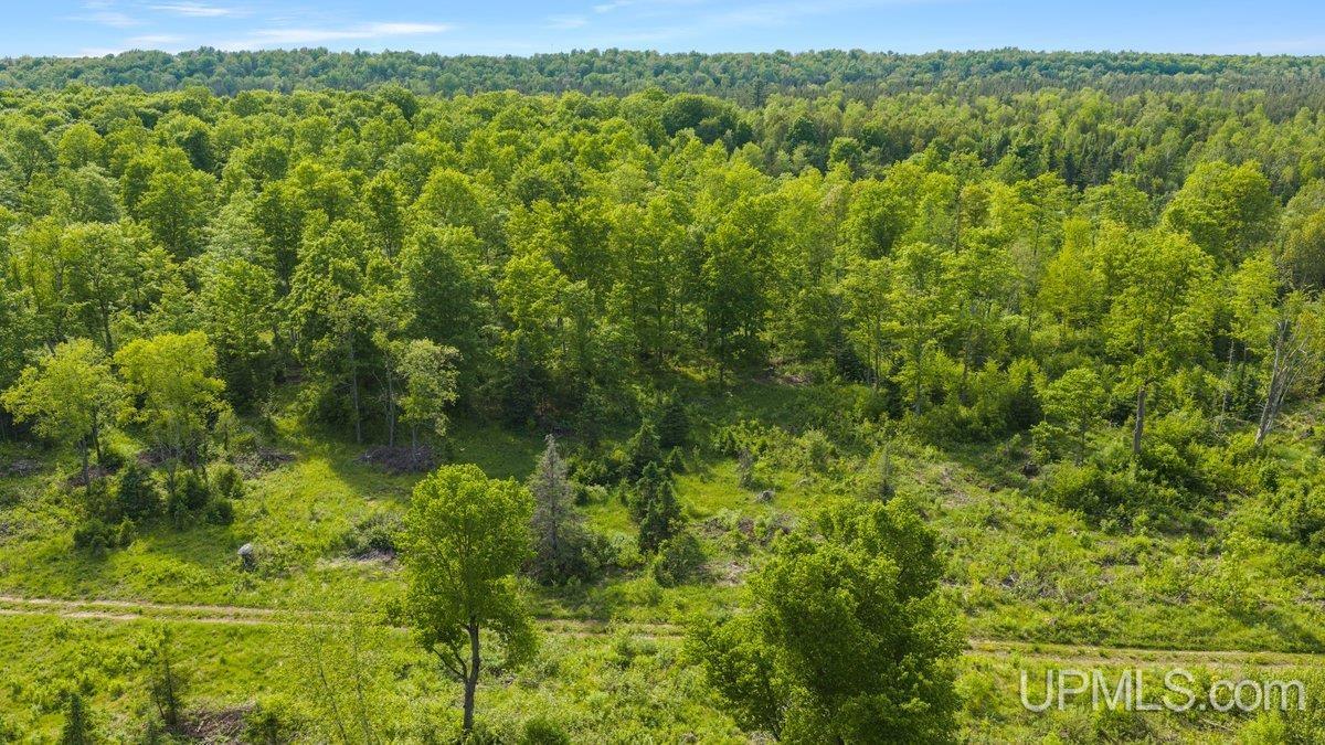 8789 38 Road Rapid River, MI 49878 - Photo 20 of 23