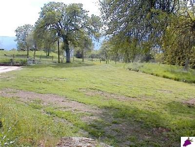 40940 Millwood Road Dunlap, CA 93621 - Photo 4 of 9 Gallery Image 4