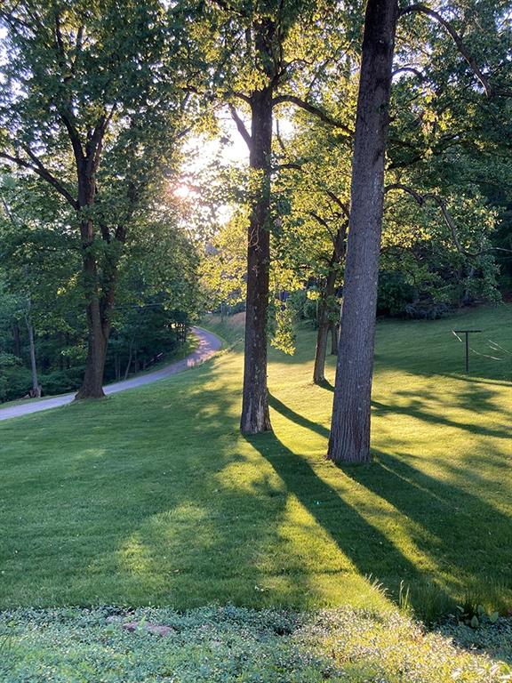1260 Lions Health Camp Road Indiana, PA 15701 - Photo 29 of 34 a view of a trees with a yard