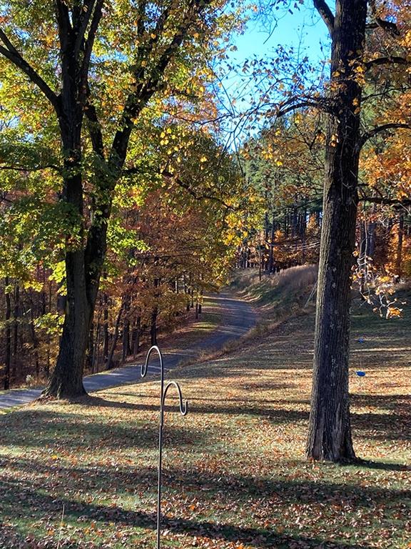 1260 Lions Health Camp Road Indiana, PA 15701 - Photo 30 of 34 a view of a yard