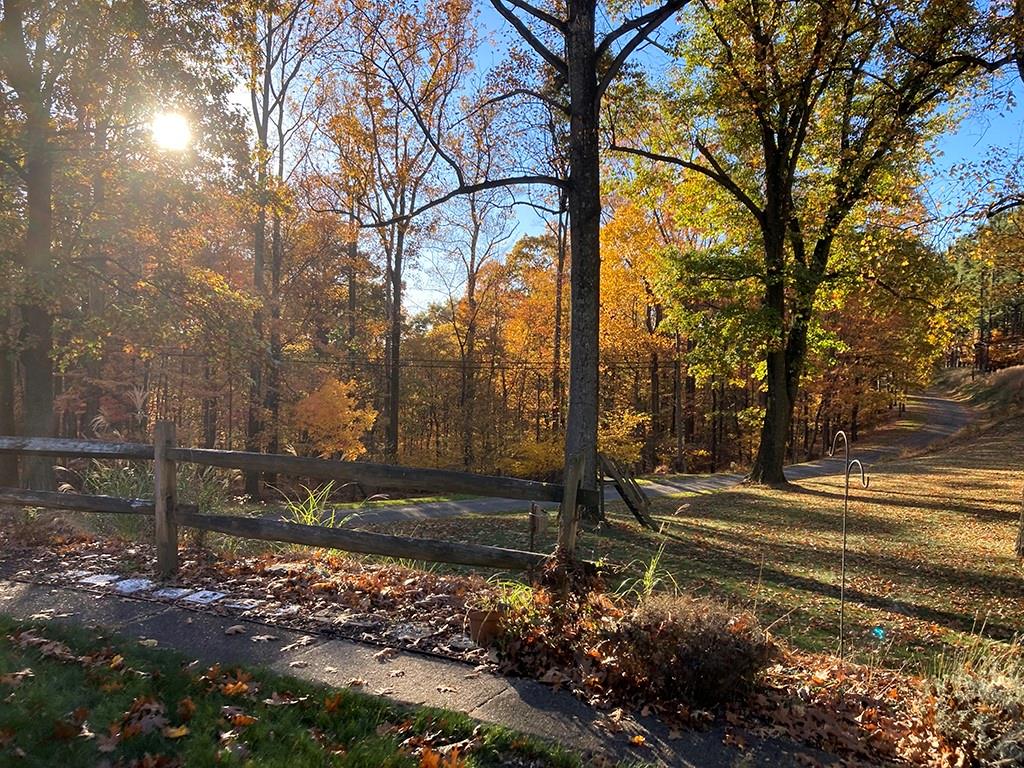 1260 Lions Health Camp Road Indiana, PA 15701 - Photo 32 of 34 a view of a yard with a tree