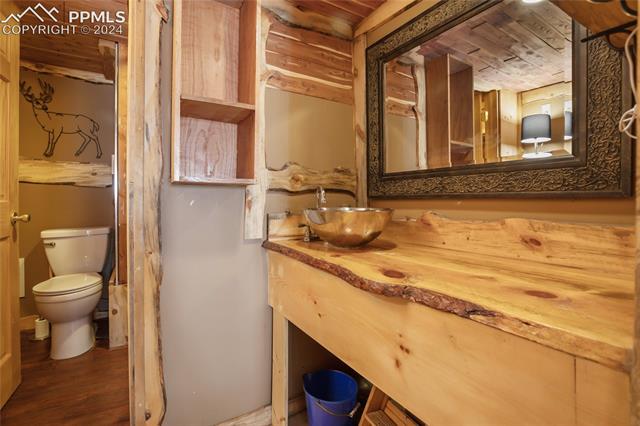 771 Topaz Road Lake George, CO 80827 - Photo 24 of 40 Basement bathroom with separate shower/toilet area.
