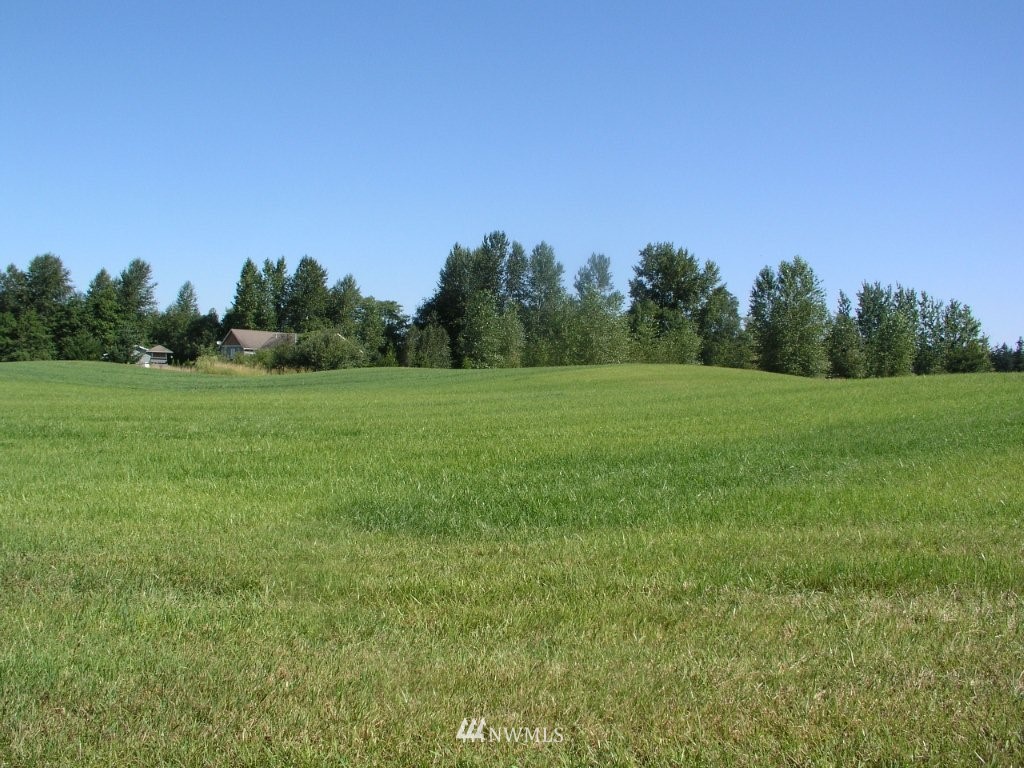 9133 Sunrise Road Custer, WA 98240 - Photo 6 of 12