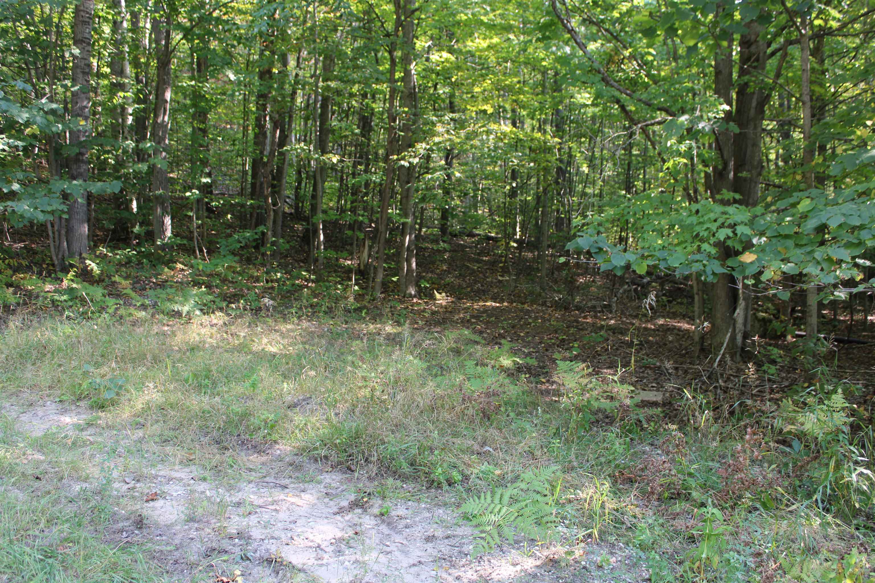 Sunburry Road Kalkaska, MI 49646 - Photo 4 of 19 Gallery Image 4
