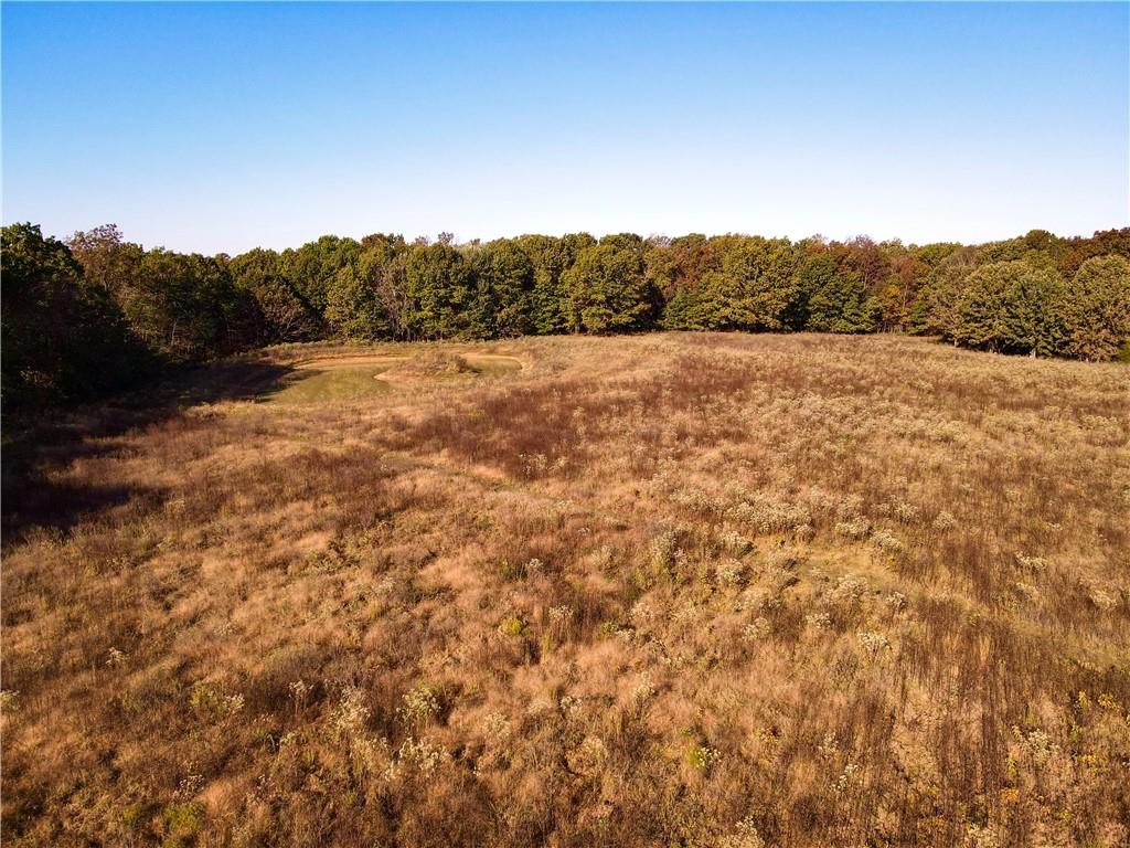 2055 East 335th Road Half Way, MO 65663 - Photo 71 of 99 Gallery Image 71