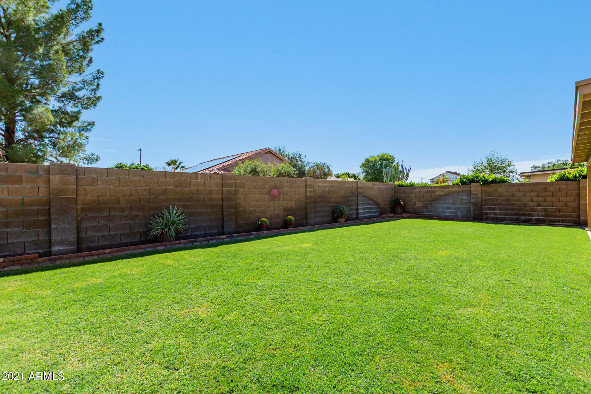 531 West Laredo Avenue Gilbert, AZ 85233 - Photo 30 of 35 Large grass backyard to play!